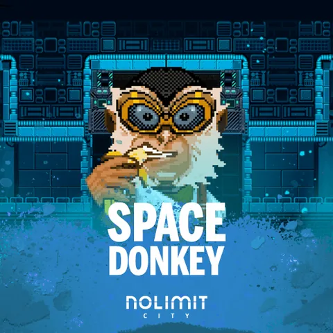Space Donkey oyununun kapak görseli