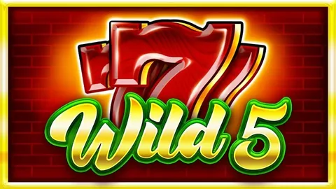 Wild 5 oyununun kapak görseli